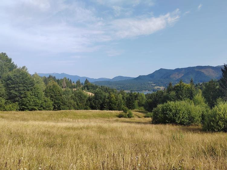 Teren Construcții intravilan de 20000 mp, în Colibița