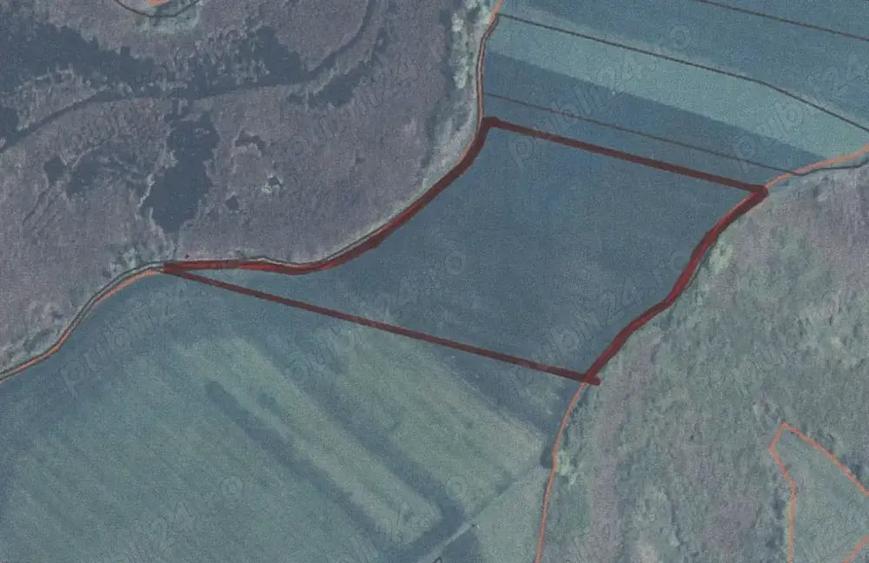 Teren agricol (4.65 ha) in comuna Satchinez (jud.Timis) - 1