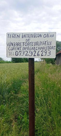 Teren de 1600 mp, în Sâmbăta de Sus