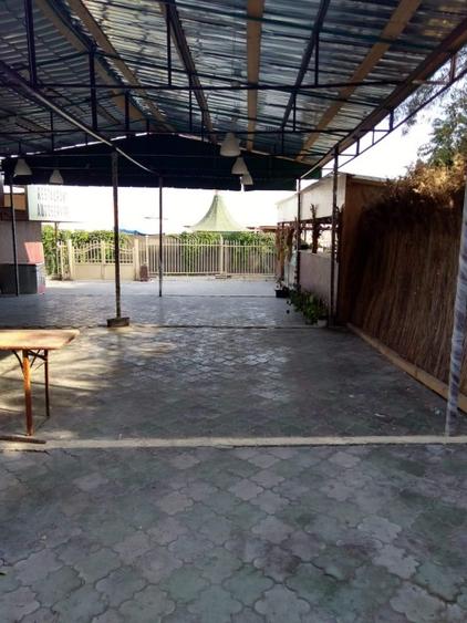 TEREN LA BUZA MARİİ - 2