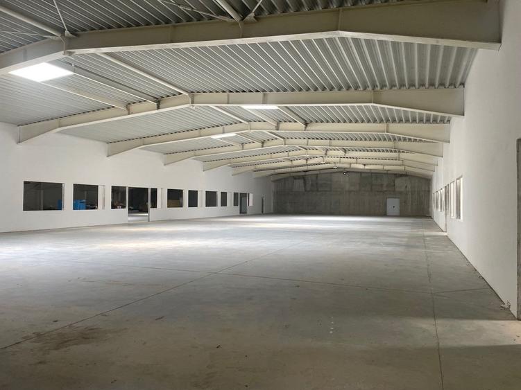 Spațiu industrial, de 4,600 mp, în Sânandrei