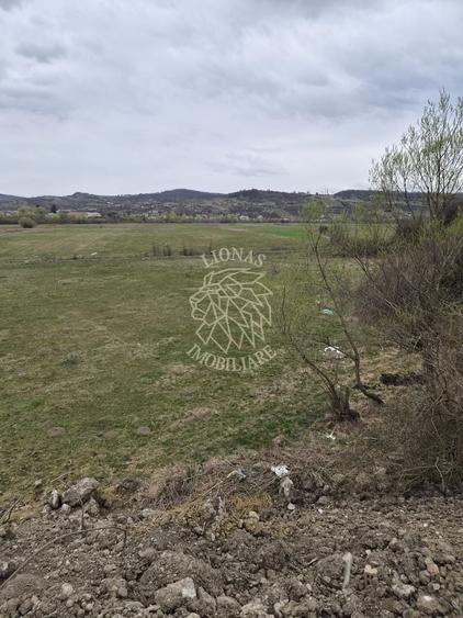 Teren extravilan de 1100 mp, în Sud