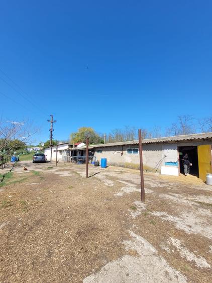 Teren Construcții intravilan de 10680 mp, în Pietreni