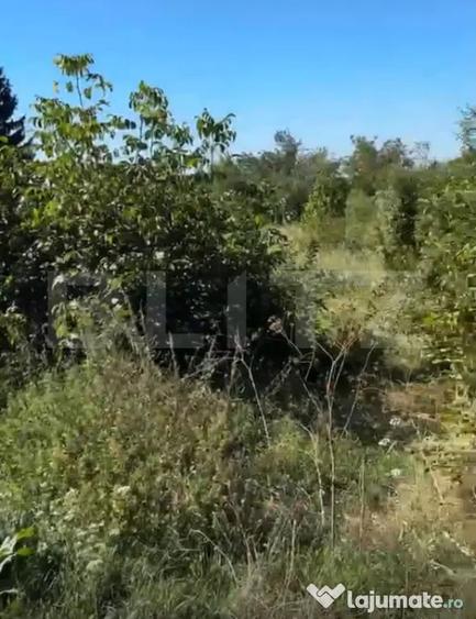 Teren intravilan, 1.539 mp, zona Valea Voievozilor - Valea Voievozilor (Dambovita) - 2
