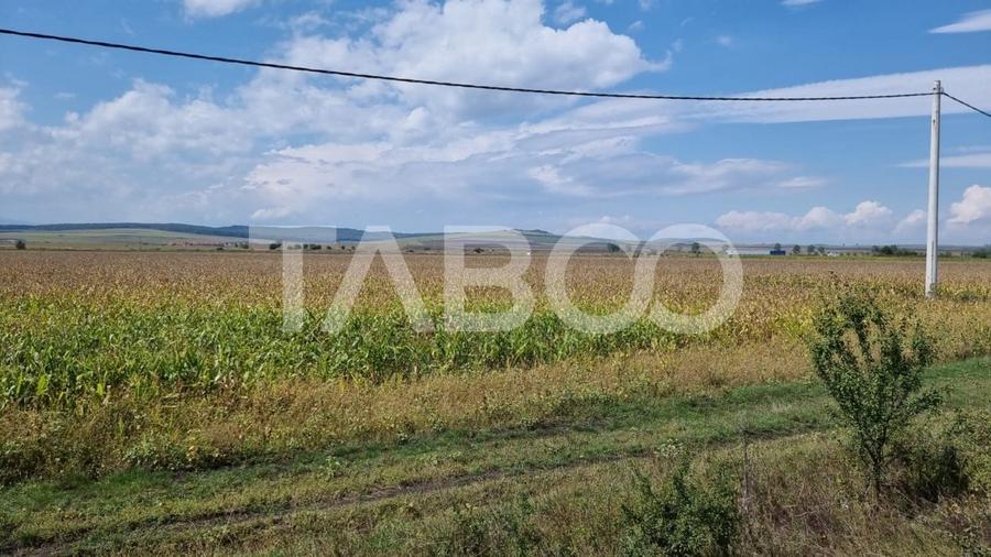 Teren agricol extravilan de 28000 mp, în Șura Mică