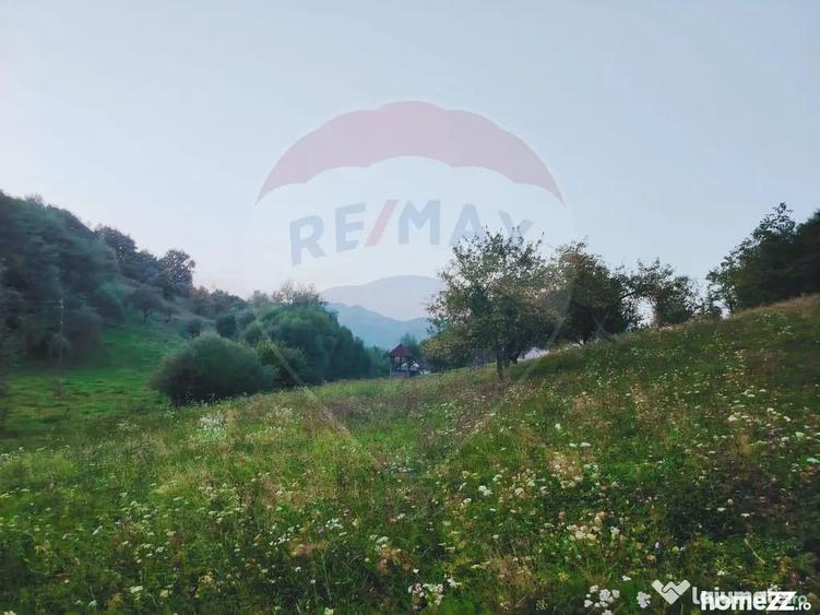 Teren în Bârsana