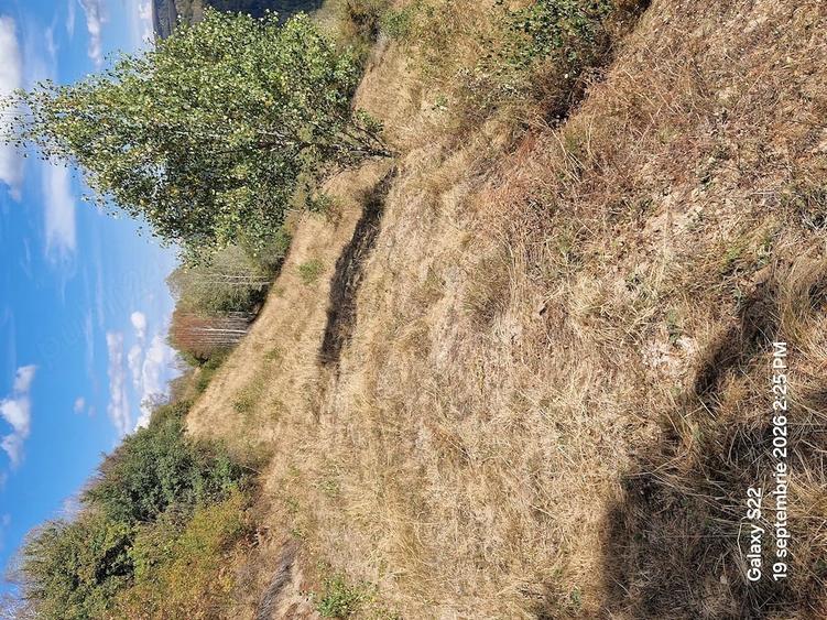 Teren de 7700 mp, în Mărișel