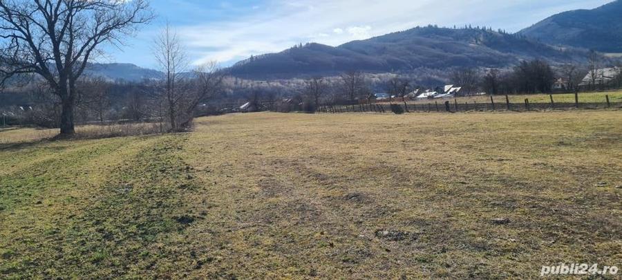 Teren de 6710 mp, în Stejaru (Pângărați)