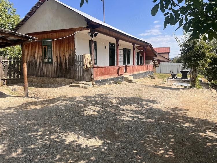 Casă cu Teren 3292 Mp în Brădetu