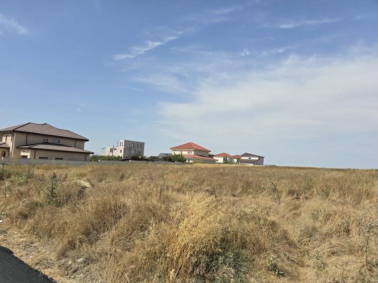 Teren Construcții intravilan de 8000 mp, în Lazu