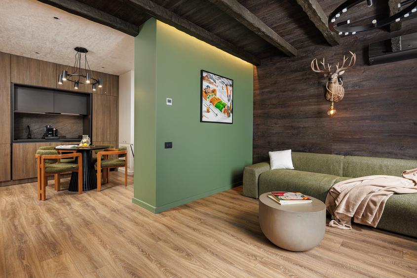 Apartament cu 2 camere nedecomandat, mobilat în Poiana Brașov