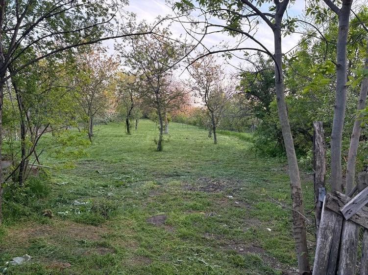 Teren de 1830 mp, în Valea Călugărească