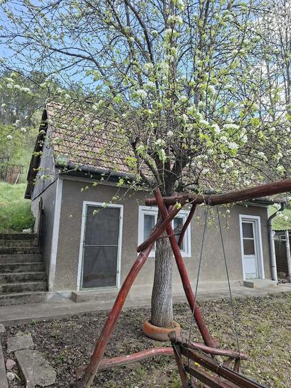 Casă cu 4 camere cu Teren 2000 Mp în Viștea