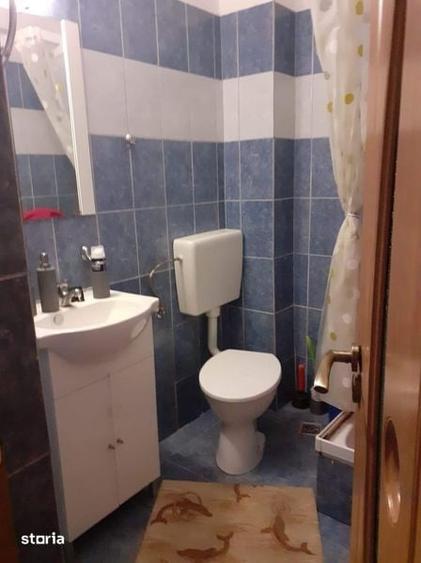 Apartament 3 camera Gusterita - 7