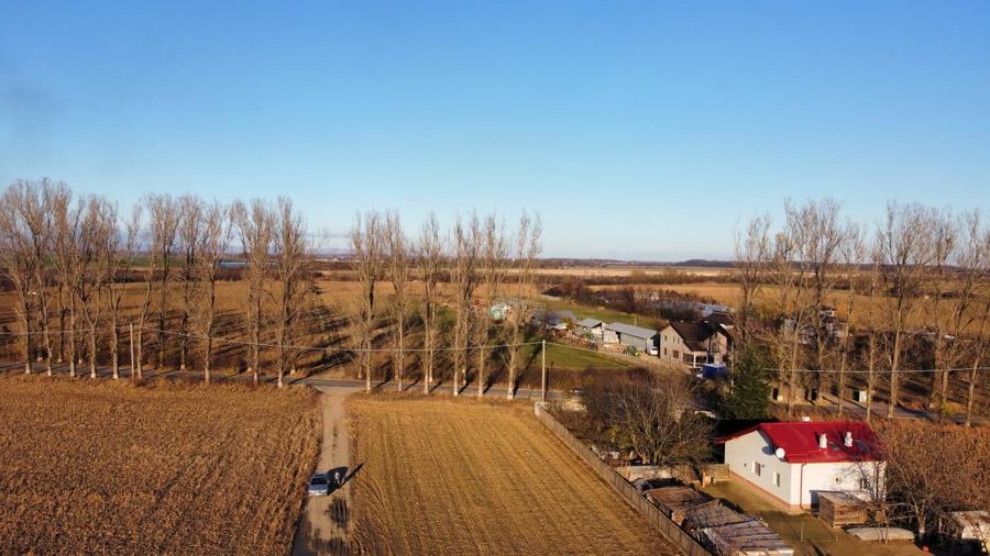 Teren Construcții intravilan de 983 mp, în Siliștea Snagovului