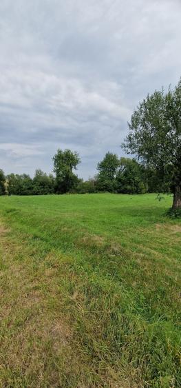 Teren de 5100 mp, în Horodnic