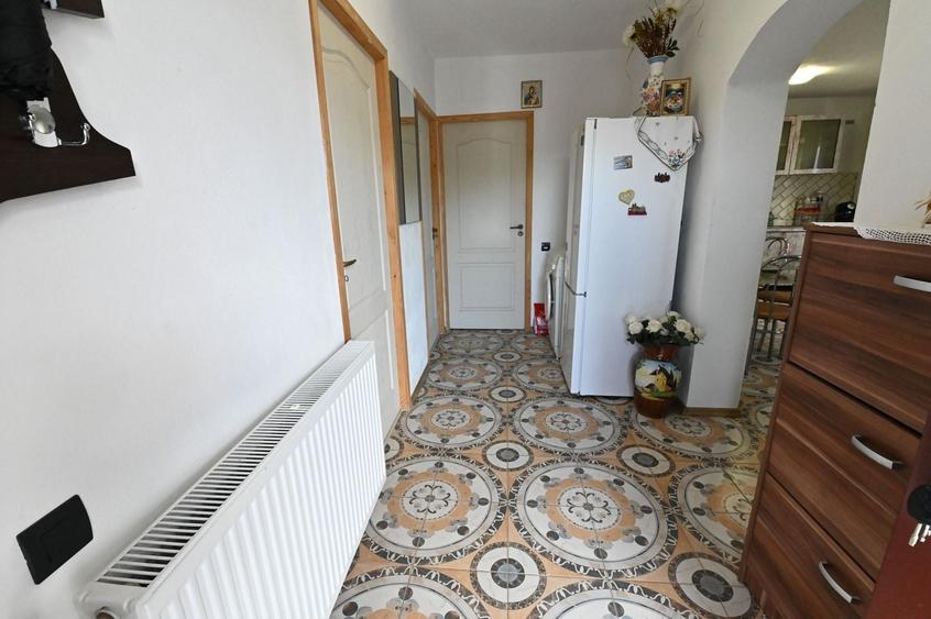 Doua case de vanzare in Carcea | 1.066 mp teren | 0% Comision - 12