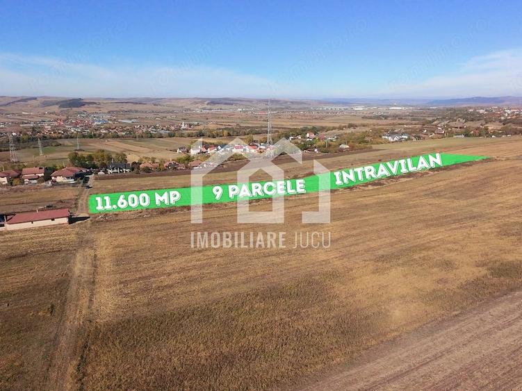 Teren de 11600 mp, în Jucu