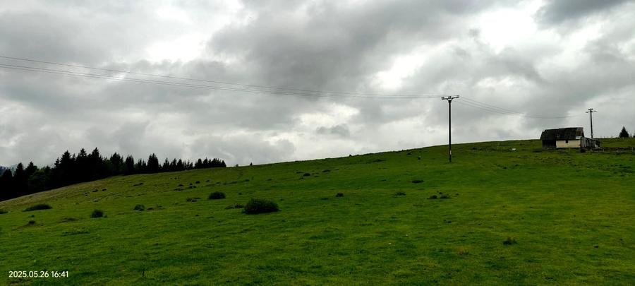 Teren Construcții intravilan de 1113 mp, în Păltiniș