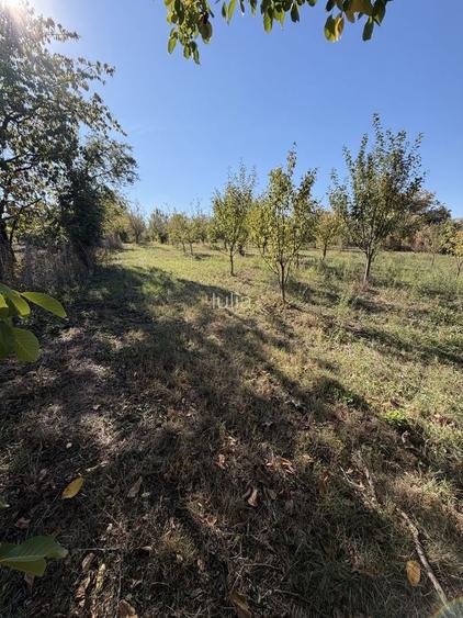 Casa la tara renovata, cu livada si gradina mare Podeni judet CLUJ