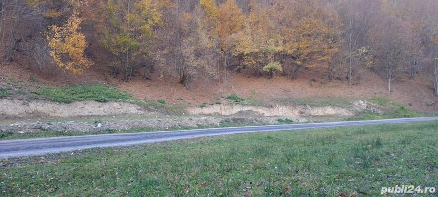 Teren de 9310 mp, în Poiana Mărului