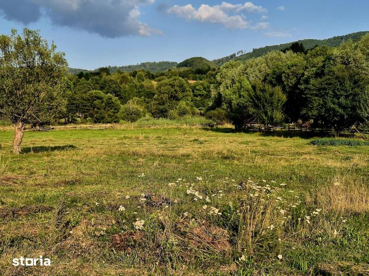 Teren recreational cu iesire la apa/Sinca Noua Brasov - 6