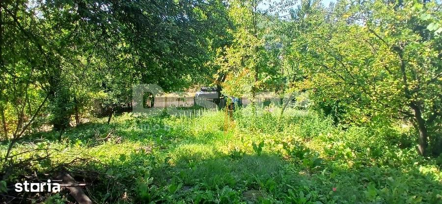 Teren de 3015 mp, în Dumbrăvești