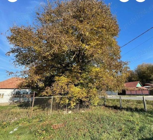 Casă cu 2 camere în Bunești