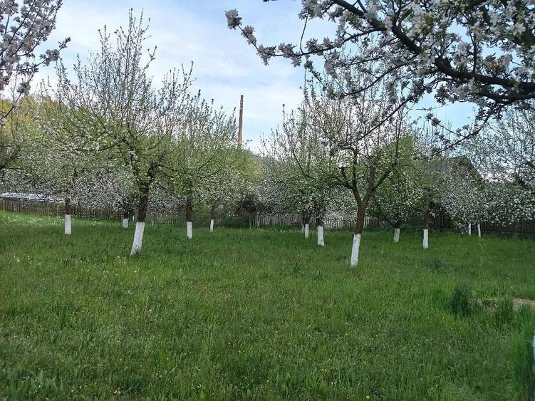 Teren de 1500 mp, în Central