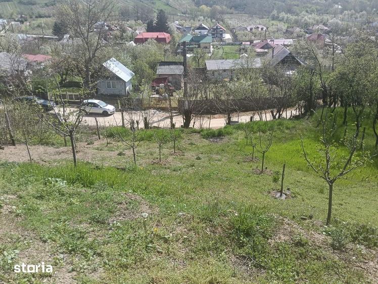 Casă cu 2 camere cu Teren 2500 Mp în Bogați