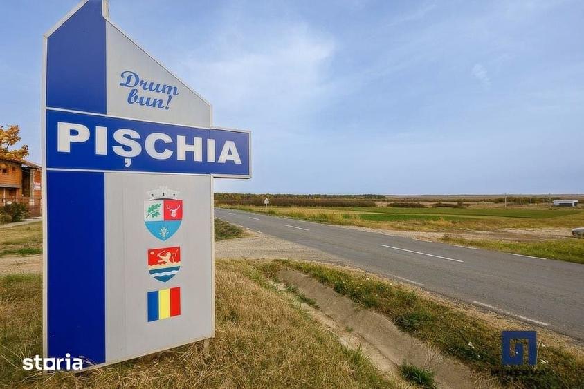 Teren de 19000 mp, în Pișchia