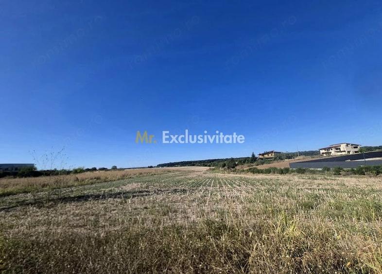 Teren de 3451 mp, în Ciolpani