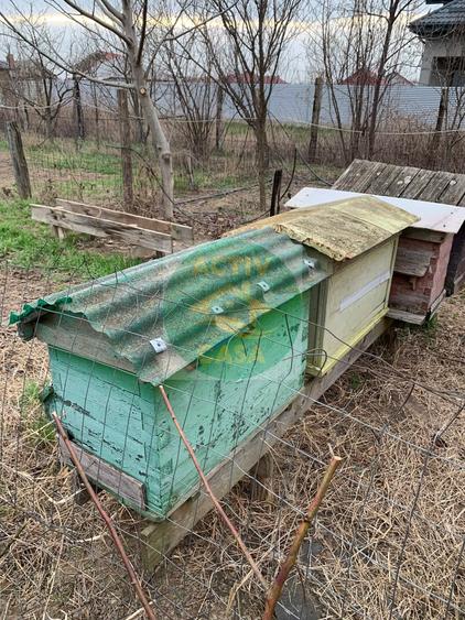 Casă cu 3 camere cu Teren 1470 Mp în Cotu Vameș