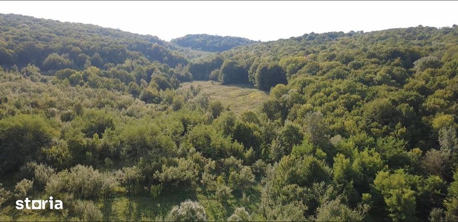 Teren de 151000 mp, în Șoimari