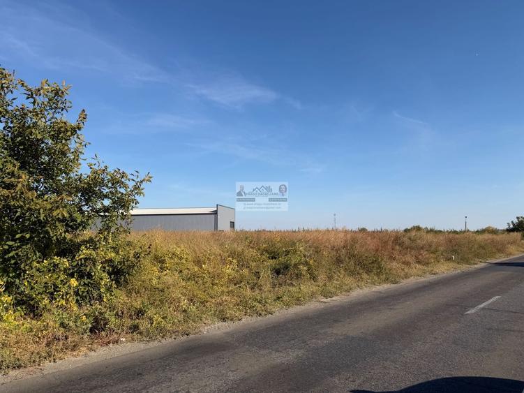 Teren Construcții intravilan de 3596 mp, în Sud-Est