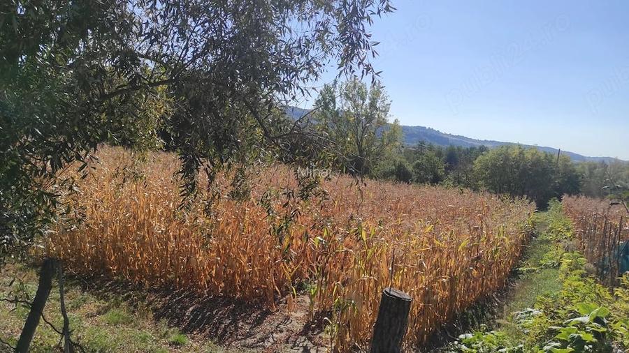 Teren de vanzare - excelent pentru investi?ie sau o proprietate intr-un cadru natural deosebit!