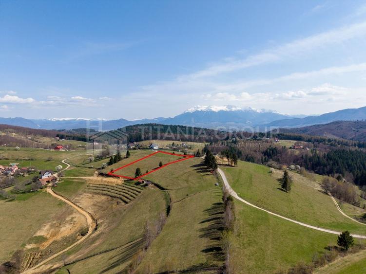 Teren Construcții intravilan de 3791 mp, în Poiana Mărului