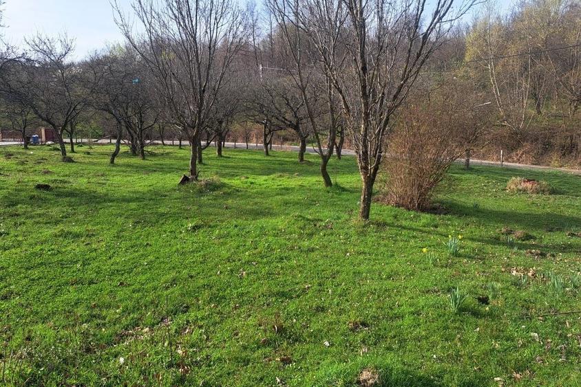 Teren de 7200 mp, în Est