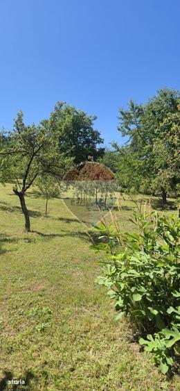 Casă cu 2 camere în Remeți