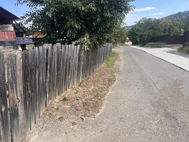 Casă cu Teren 3292 Mp în Brădetu