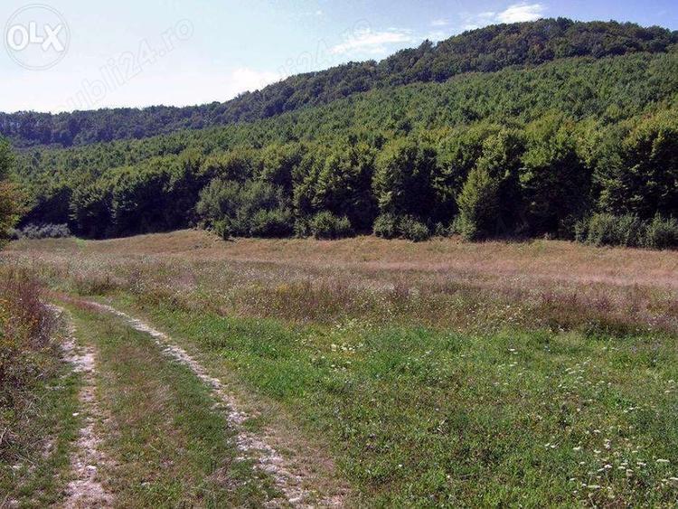 Teren de 30000 mp, în Nord