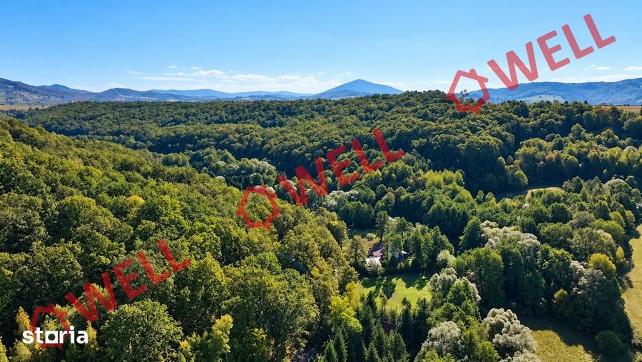 Teren de 16800 mp, în Bățani