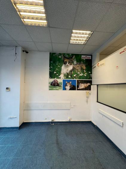 Spațiu comercial, de 52.099998474121 mp, în Costin Georgian