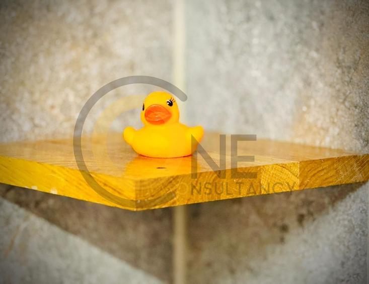 Apartament 2 lângă parc - 17