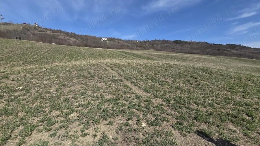 Teren extravilan de vanzare Valea Chiejdului, Dej