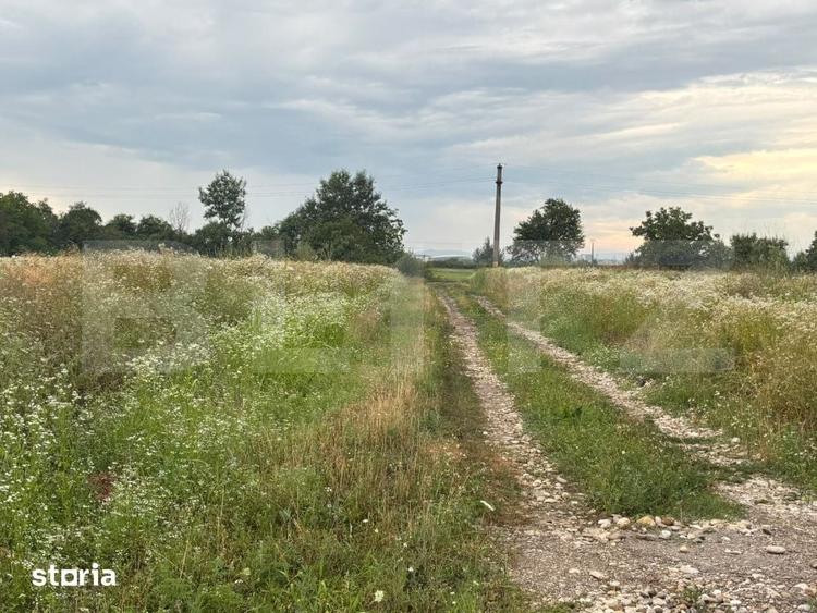 Teren de 536 mp, în Central