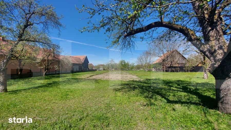 Teren de 2200 mp, în Ozun