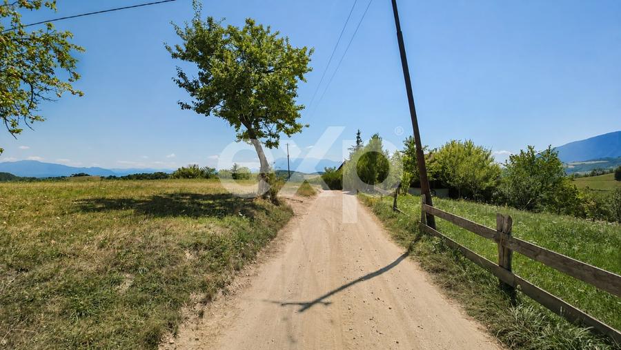 Teren agricol extravilan de 8544 mp, în Poiana Mărului