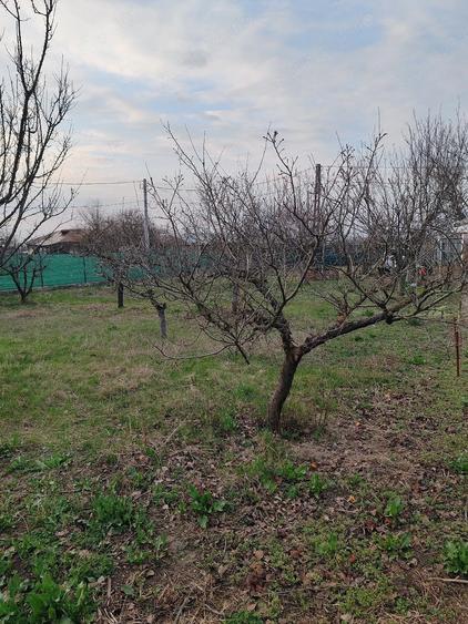 Casă cu Teren 900 Mp în Toporu