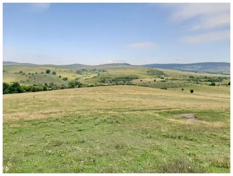Teren agricol extravilan de 2500000 mp, în Șercaia